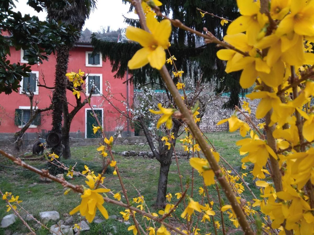 Corte Clocego Verona Eksteriør bilde